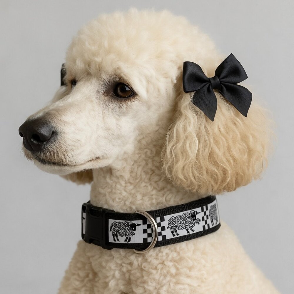 Black & White Sheep Dog Collar, Checker Broad Adjustable Pet Collar Size - MED